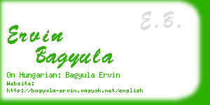 ervin bagyula business card